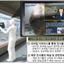 부산해양자연사박물관 이미지