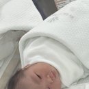 젖소의 만찬 | 둘째 임신일기 :: 리베르 여성병원 전신마취 제왕절개 후기