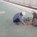 에스디이엔씨 이미지