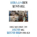 소닉렌탈