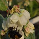 해피농장 이미지