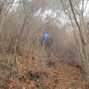 인태목장 이미지