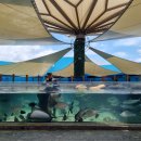 오션피드 이미지