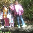 연광초등(병설) 이미지