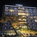 강정목장 | 가족여행 강릉경주 3박4일 1일차 - 스위스램 양떼목장 오죽헌 강릉닭강정 위너스호텔 주문진시장