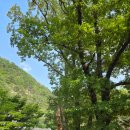 비선대만남의광장 이미지