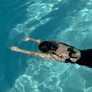 더그레이 The Gray 이미지