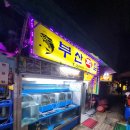 비어8톤 | 종로 나들이 종로3가역 부산횟집 & 종각역 비어8톤 방문 후기