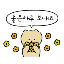 훈이네청과
