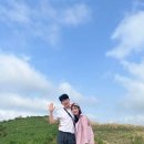 놀맨