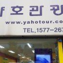 야호관광 이미지