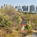 새생명힐링센터 이미지