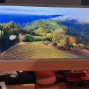 M1 iMac Orange $500 이미지