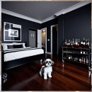 메리트연립(내) | 행신 애견분양 실패 방지 가이드 나에게 맞는 반려견 찾기