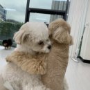 포그니유치원 이미지