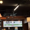 감성충만셀프 | [회기 맛집] 경희대 앞 1986 시부야 버거에서 두툼한 와규 버거와 일본 감성 충만 느끼고 온 솔직 후기!