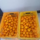 부영아파트 앞 이미지