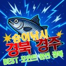 하서리8 | 경북 경주 숭어 원투 서프 낚시 잘잡히는 포인트 추천