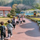 키즈카페 (5세) with 안전도우미 학부모운영위원 이미지