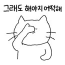 태영헤어
