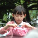 그린토피아 이미지