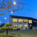 태인 애견 이미지