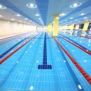 더 퍼스트 수영장 이미지