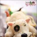 와우캐릭터 이미지
