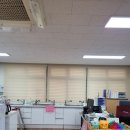 도봉초교 이미지