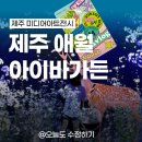 제주 실내 가볼만한 곳｜아이바가든 미디어아트 후기