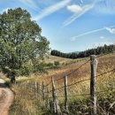 순리대로 이미지