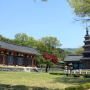 칠곡 송림사 오층전탑 이미지