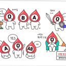 호랑이짐 이미지