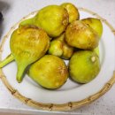 진도청과 이미지