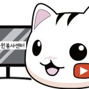 이조자원 이미지