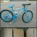 코렉스자전거 Daum카페