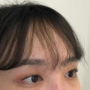 프리미엄캔넬 | 신촌역 속눈썹펌 주넬브로우 후기