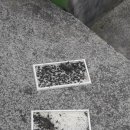 동천본동 이미지