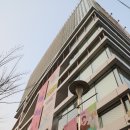 연극 - 고양이라서 괜찮아 이미지