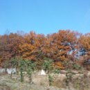 내가본세탁 이미지