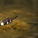 Fun Fun English 이미지