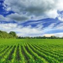 지구자원 이미지