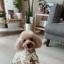 우리미용실(통진)