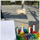에듀프라임성북지사 이미지