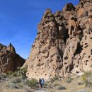 더월(The wall) 이미지