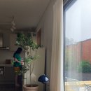 동광의계절 이미지