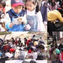 외간초등학교 (주)거제타임즈