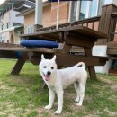 김대진동물병원 이미지