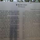 양구선사박물관 이미지