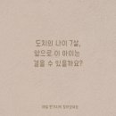 안다 동물보호소 이미지